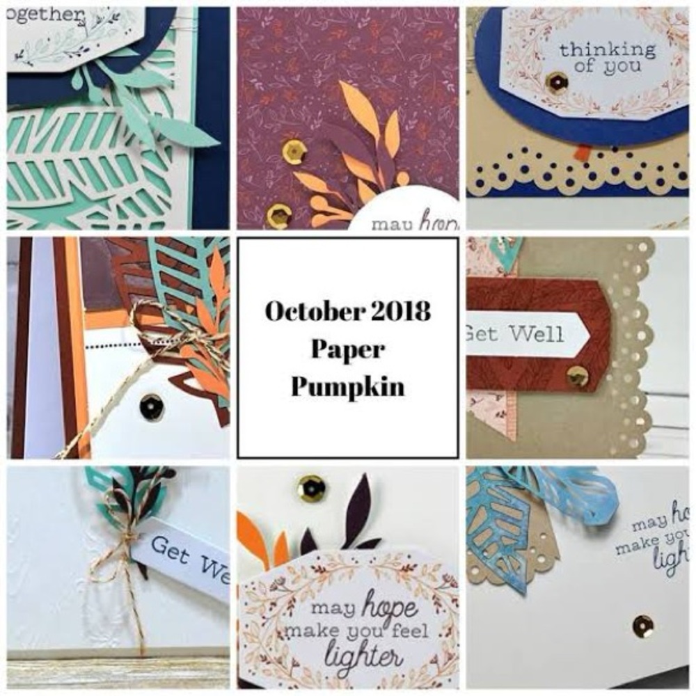 PAPER PUMPKIN FRIENDS OF A FEATHER OCTOBER BOX - Picture 2 of 13